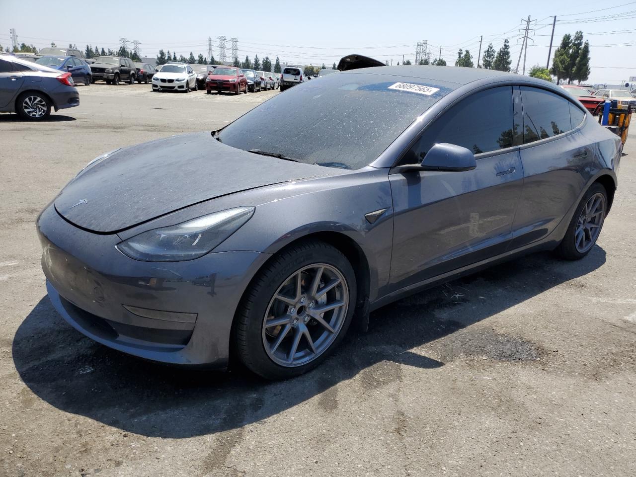 Lot #3304572438 2023 TESLA MODEL 3