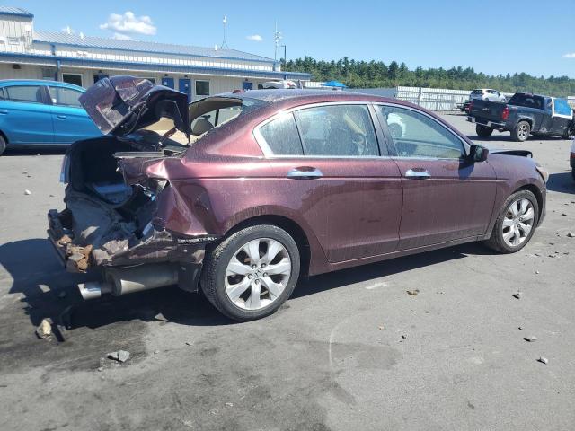 2010 HONDA ACCORD EXL - 5KBCP3F86AB017011
