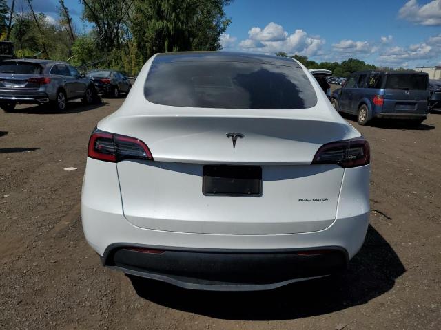 2023 TESLA MODEL Y 7SAYGDEE4PF804715
