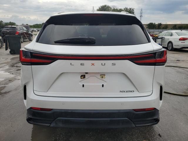 2024 LEXUS NX 250 PRE JTJGDCAZ3R5019463