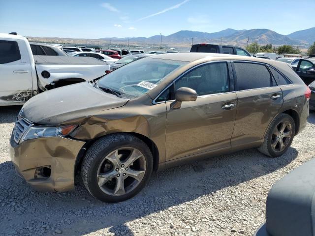 Global Auto Auctions: 2009 TOYOTA VENZA