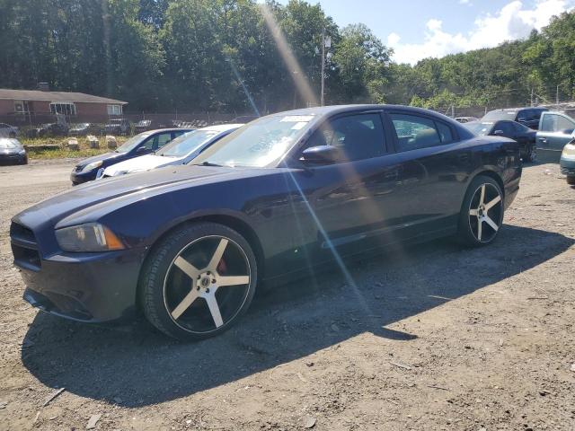2013 DODGE CHARGER PO - 2C3CDXAT7DH546741