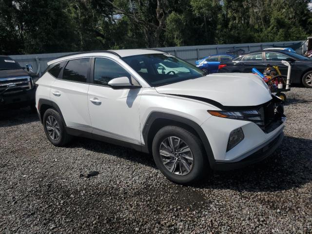 2024 HYUNDAI TUCSON BLU KM8JBCD15RU219198