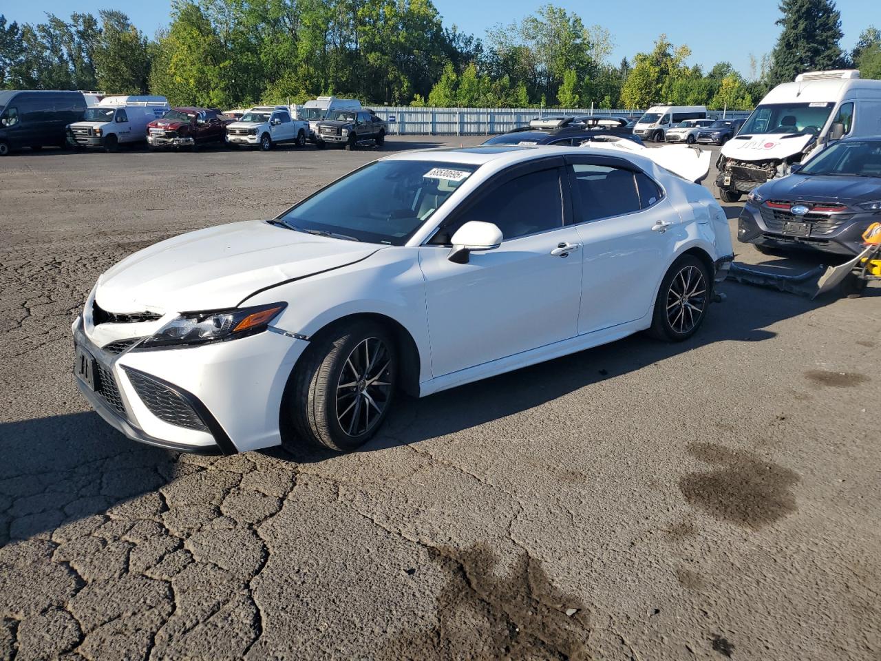 Lot #3263934191 2022 TOYOTA CAMRY NIGHT SHADE