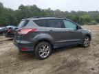 Lot #3294486583 2015 FORD ESCAPE SE