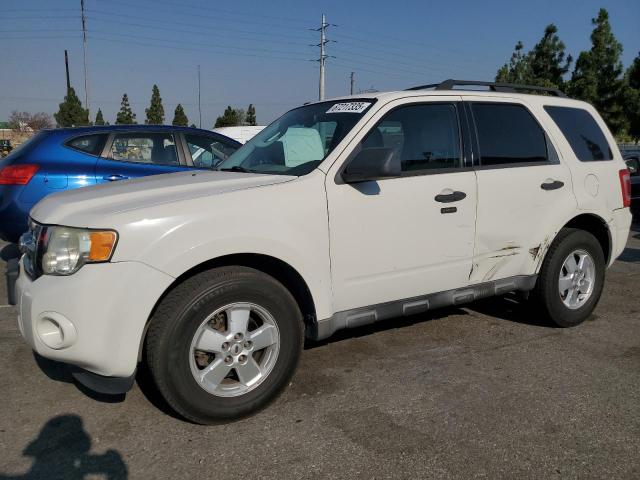 FORD ESCAPE XLT