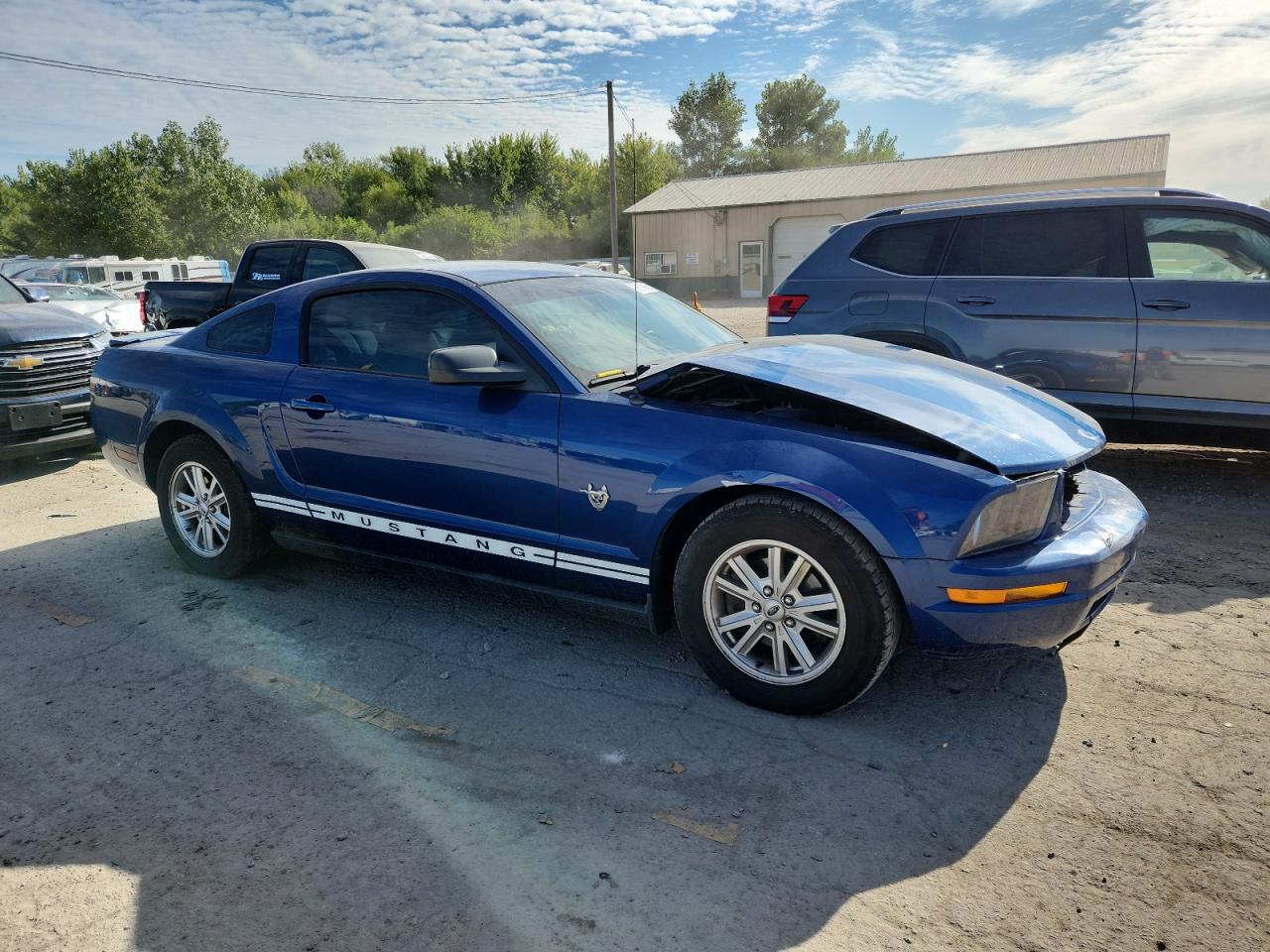 Lot #3286675316 2009 FORD MUSTANG