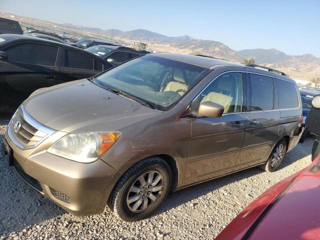 HONDA ODYSSEY EX