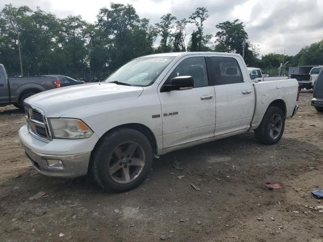 2010 DODGE RAM 1500 C - 1D7RB1CT3AS195553