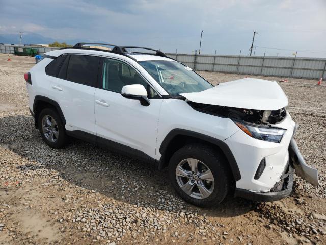2024 TOYOTA RAVA 4 4T3RWRFVXRU128624