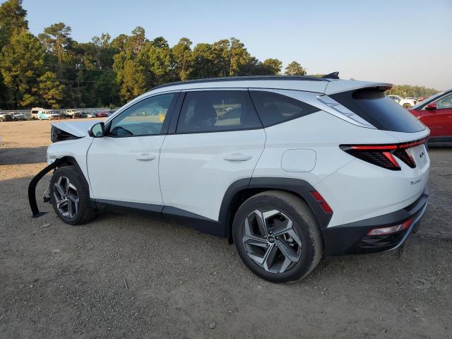 2024 HYUNDAI TUCSON LIM 5NMJE3DE5RH412599