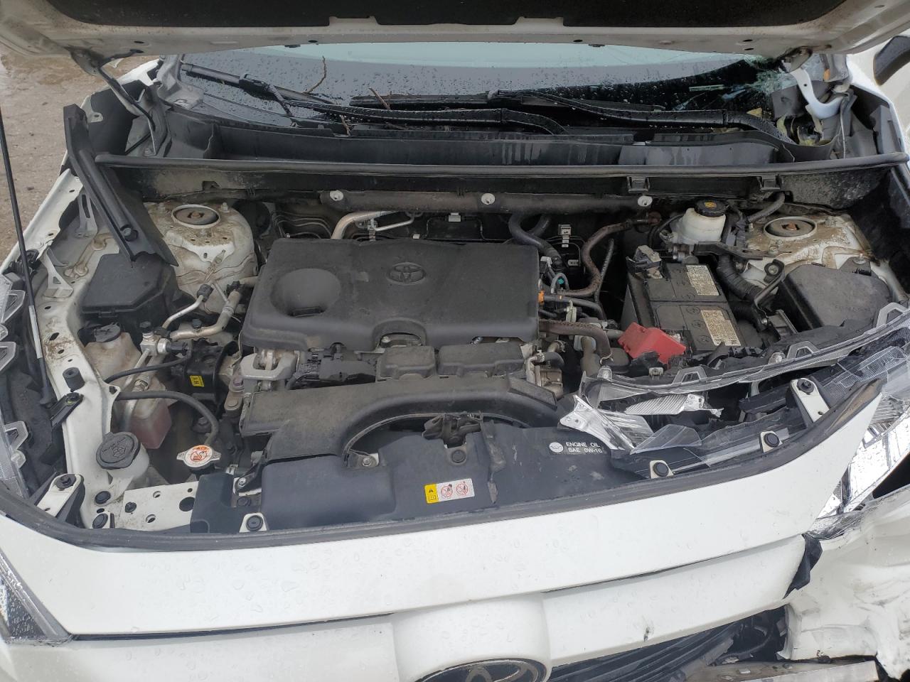 TOYOTA RAV4 XLE PREMIUM