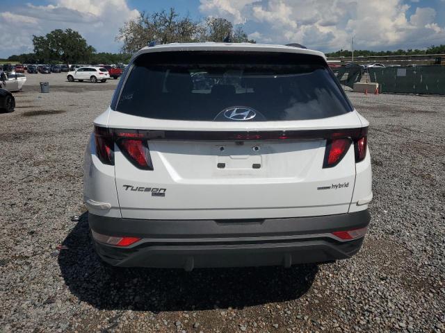 2024 HYUNDAI TUCSON BLU KM8JBCD15RU219198