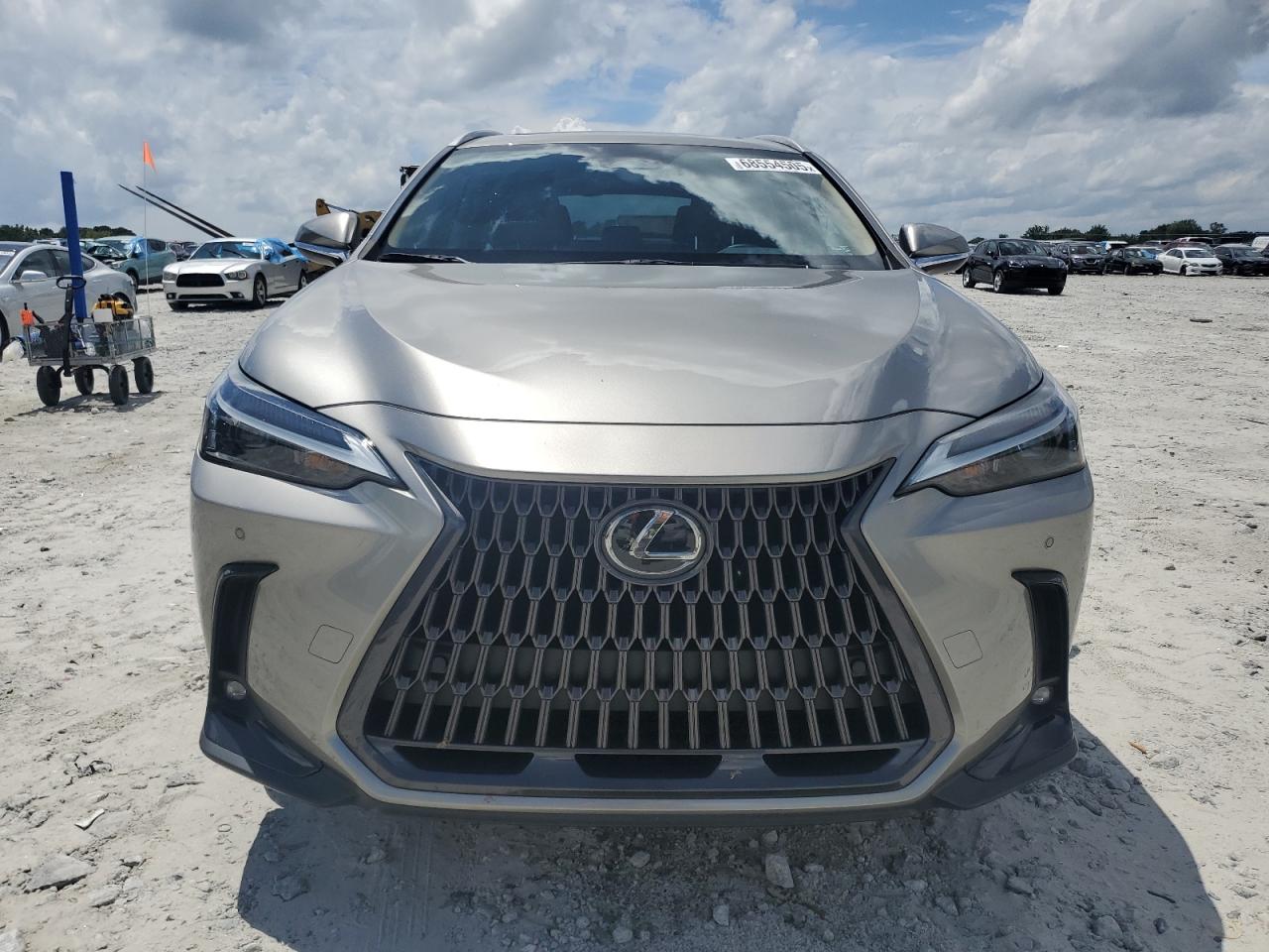 LEXUS NX 350