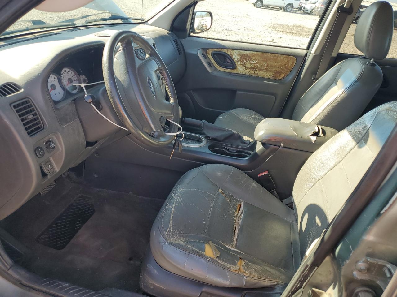 Lot #3262054079 2006 FORD ESCAPE XLT