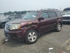 Lot #3303879687 2011 HONDA PILOT EXL