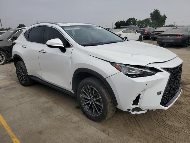 2024 LEXUS NX 250 PRE JTJGDCAZ1R5017114