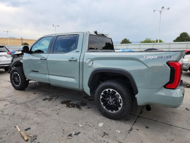 2025 TOYOTA TUNDRA CRE 5TFLA5DB9SX296018