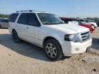 Lot #3304799312 2013 FORD EXPEDITION