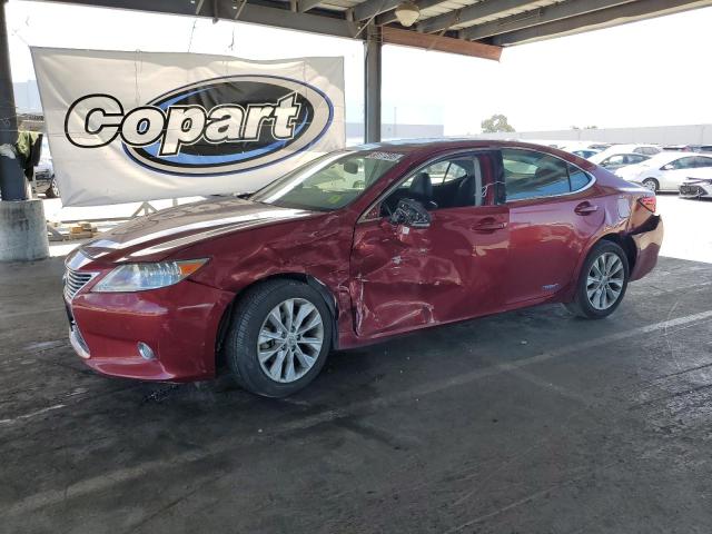 LEXUS ES 300H