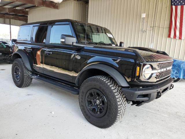2024 FORD BRONCO WIL 1FMEE2BP0RLB04041
