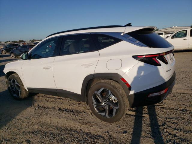 2023 HYUNDAI TUCSON LIMITED KM8JECA13PU127127