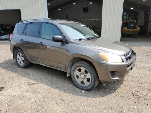 2010 TOYOTA RAV4 - 2T3BF4DV4AW036789