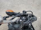 Lot #3303946717 2024 HONDA GROM A
