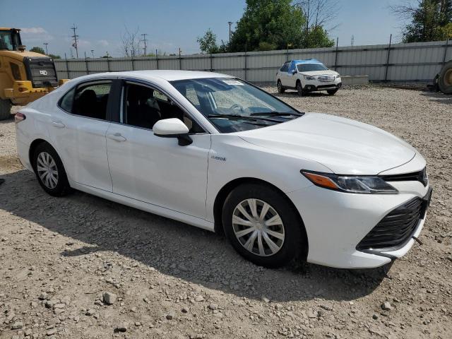 2019 TOYOTA CAMRY LE - 4T1B31HK3KU515996