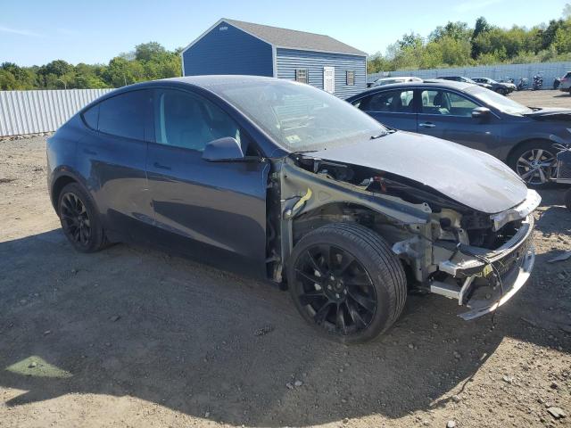 2021 TESLA MODEL Y - 5YJYGDEE2MF204882