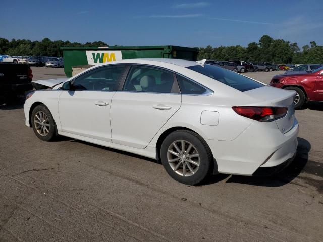 2019 HYUNDAI SONATA SE 5NPE24AF8KH781625
