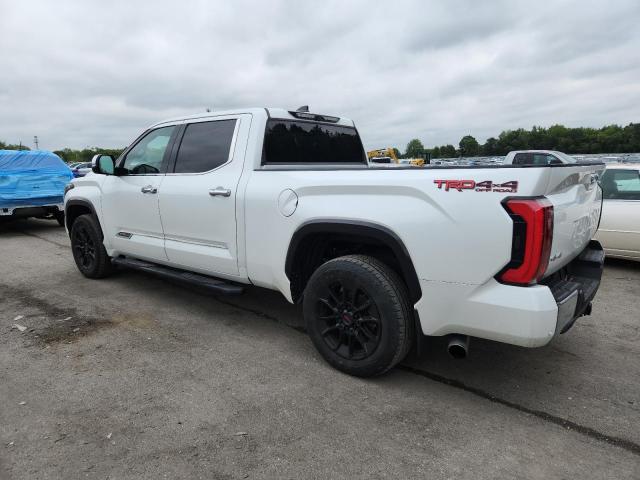 2023 TOYOTA TUNDRA CREWMAX PLATINUM 5TFMA5EC8PX017077
