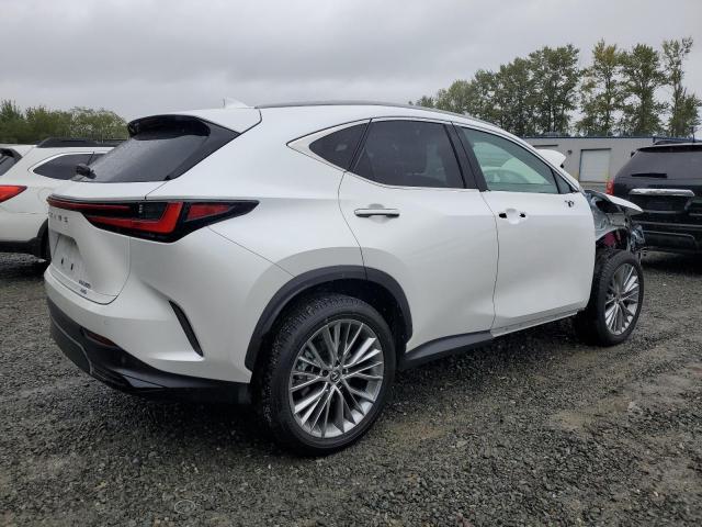 2024 LEXUS NX 350 LUX 2T2HGCEZ8RC032006