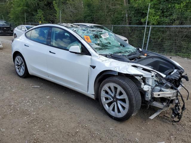 2023 TESLA MODEL 3 #3287509994