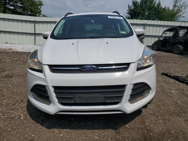 2014 FORD ESCAPE SE - 1FMCU9G96EUC80660