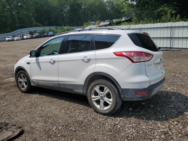 2014 FORD ESCAPE SE - 1FMCU9G96EUC80660