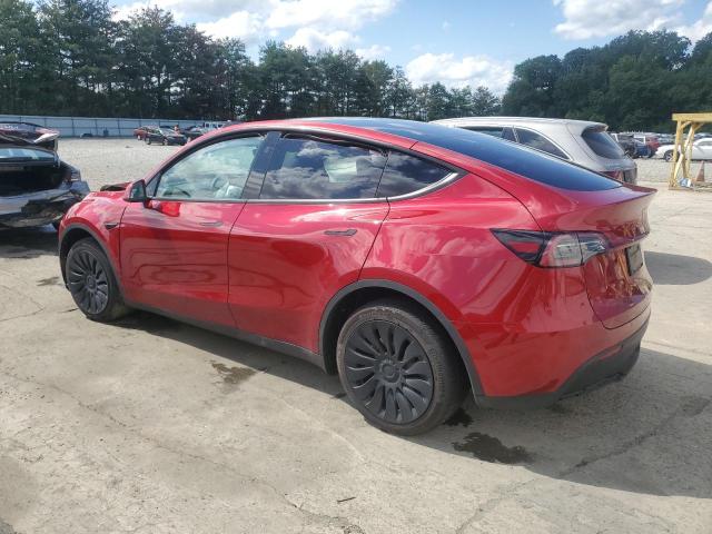 2024 TESLA MODEL Y 7SAYGDEE9RF161880
