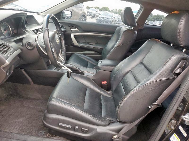 2010 HONDA ACCORD EXL - 1HGCS1B85AA012058