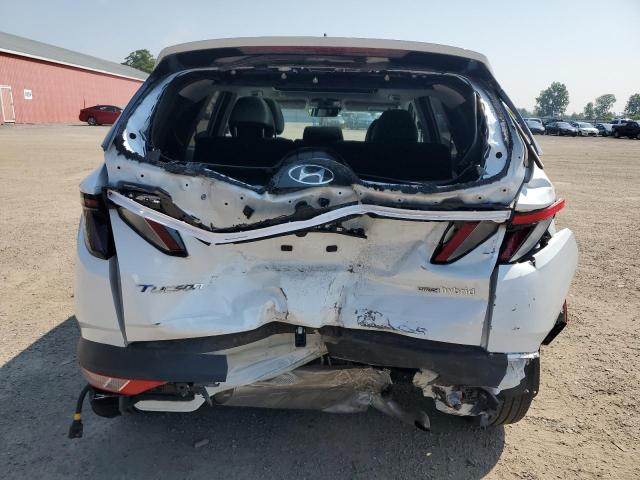 2023 HYUNDAI TUCSON LUXURY KM8JCCA18PU088752