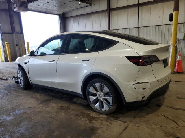 2023 TESLA MODEL Y 7SAYGDEE0PA103666