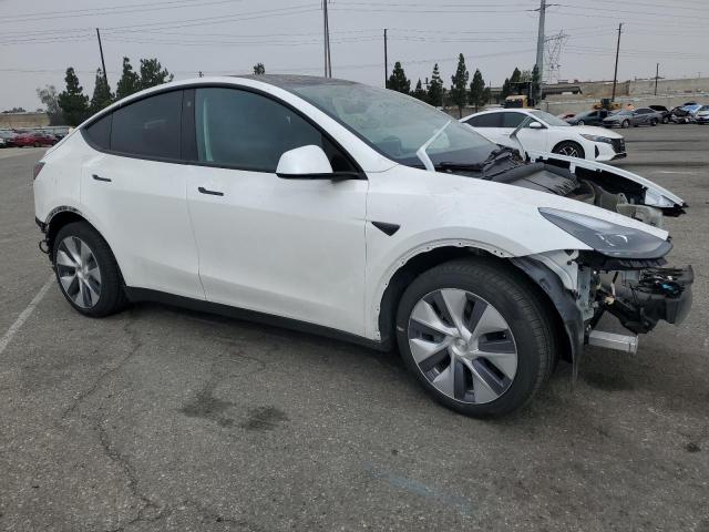 2022 TESLA MODEL Y #3301653676