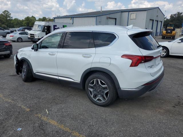 2021 HYUNDAI SANTA FE L - 5NMS44AL1MH319250