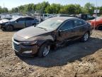 Top Destinations for Shipping Cars from the USA
