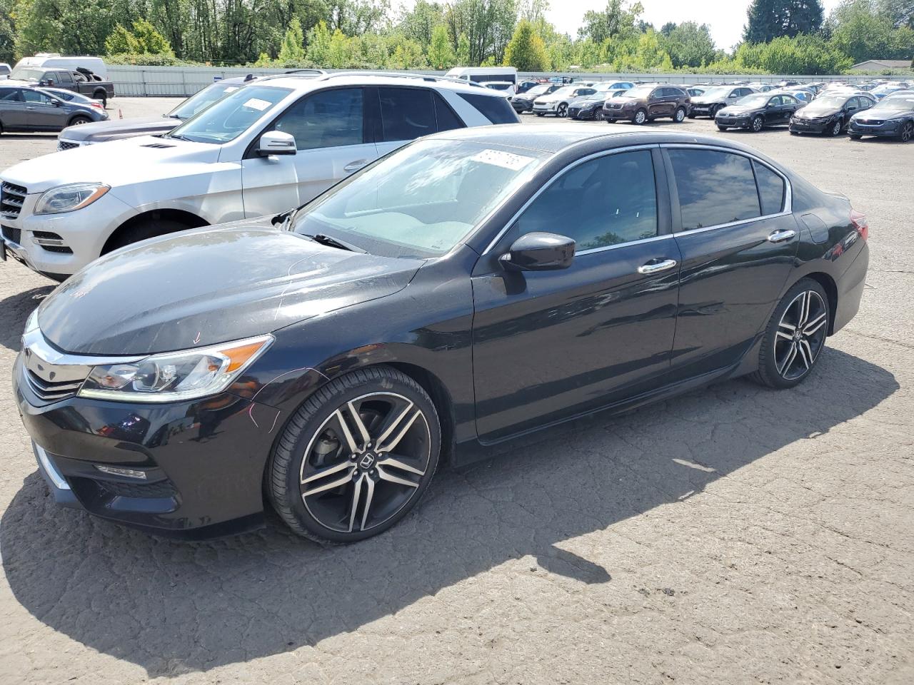 HONDA ACCORD SPORT SPECIAL EDITION