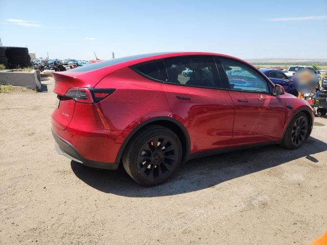 2023 TESLA MODEL Y #3285743648