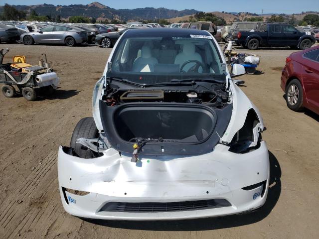 2021 TESLA MODEL Y 5YJYGDEE2MF122473