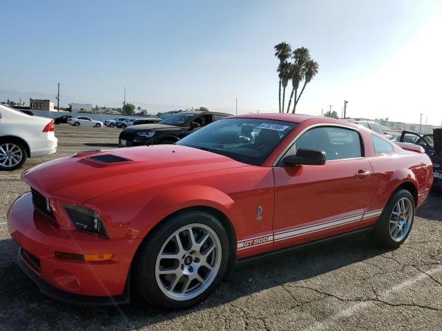 FORD MUSTANG SHELBY GT500
