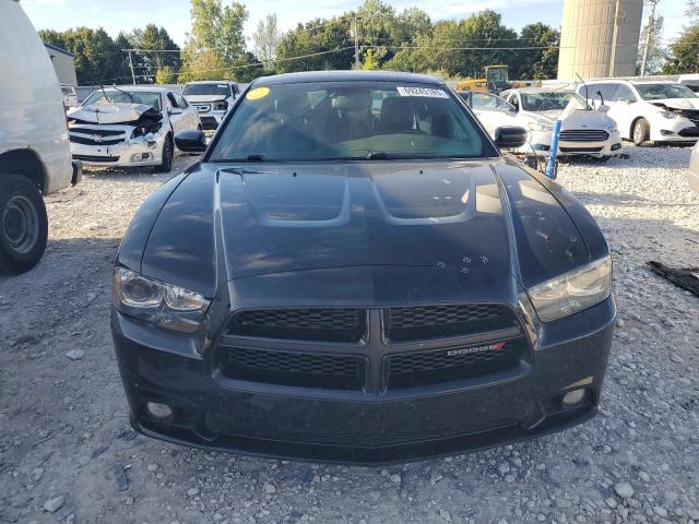 2014 DODGE CHARGER R/ - 2C3CDXDT7EH360663