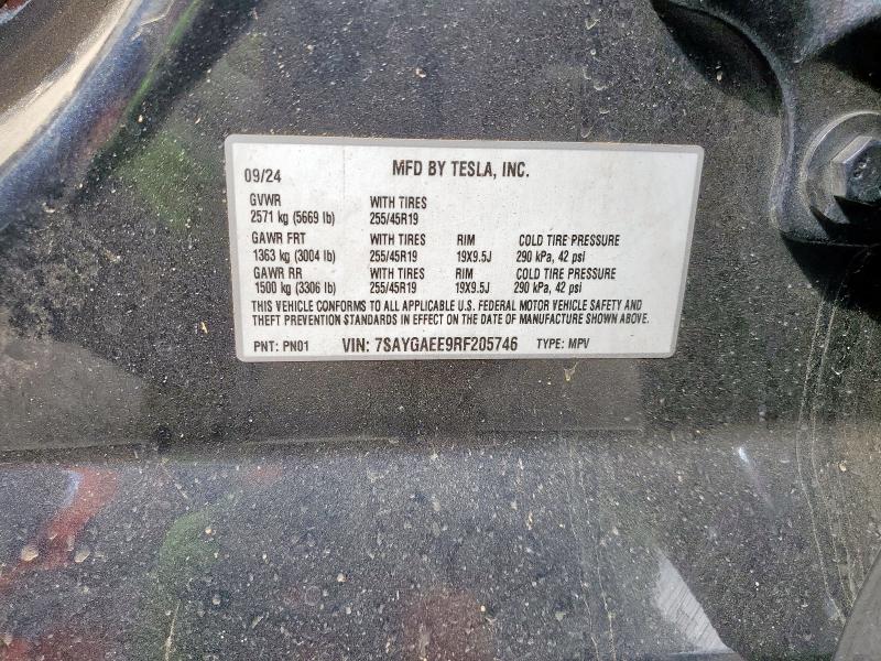 2024 TESLA MODEL Y - 7SAYGAEE9RF205746