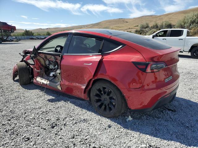 2020 TESLA MODEL Y 5YJYGDEE3LF055297